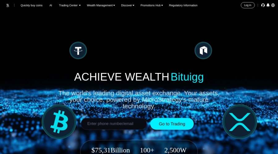 Screenshot of bituigg.vip