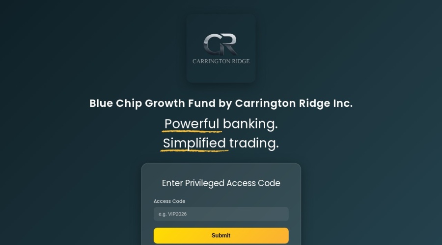 Screenshot of bluechipusa.com