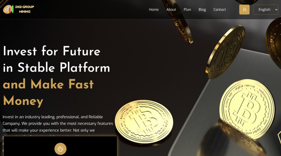 Screenshot of digigroupmine.com