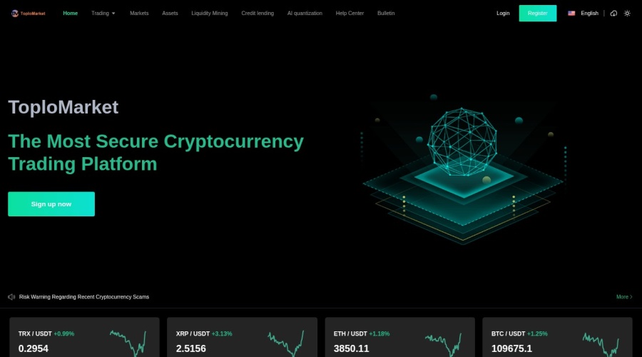 Screenshot of toplomarketcn.com